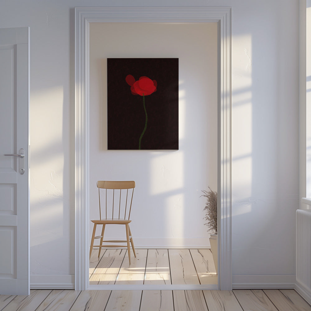 Klaproos | Canvas