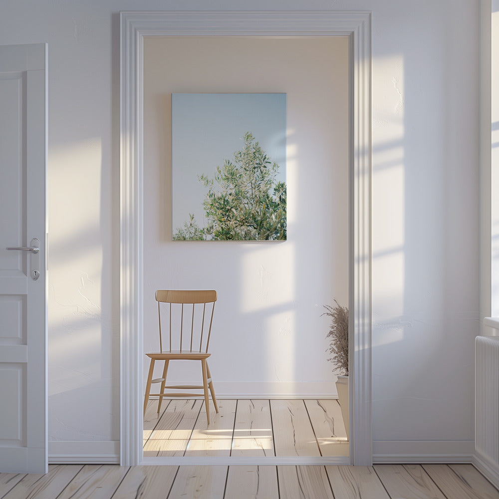 Olijven in Ostuni | Reisfotografie Italië | Canvas