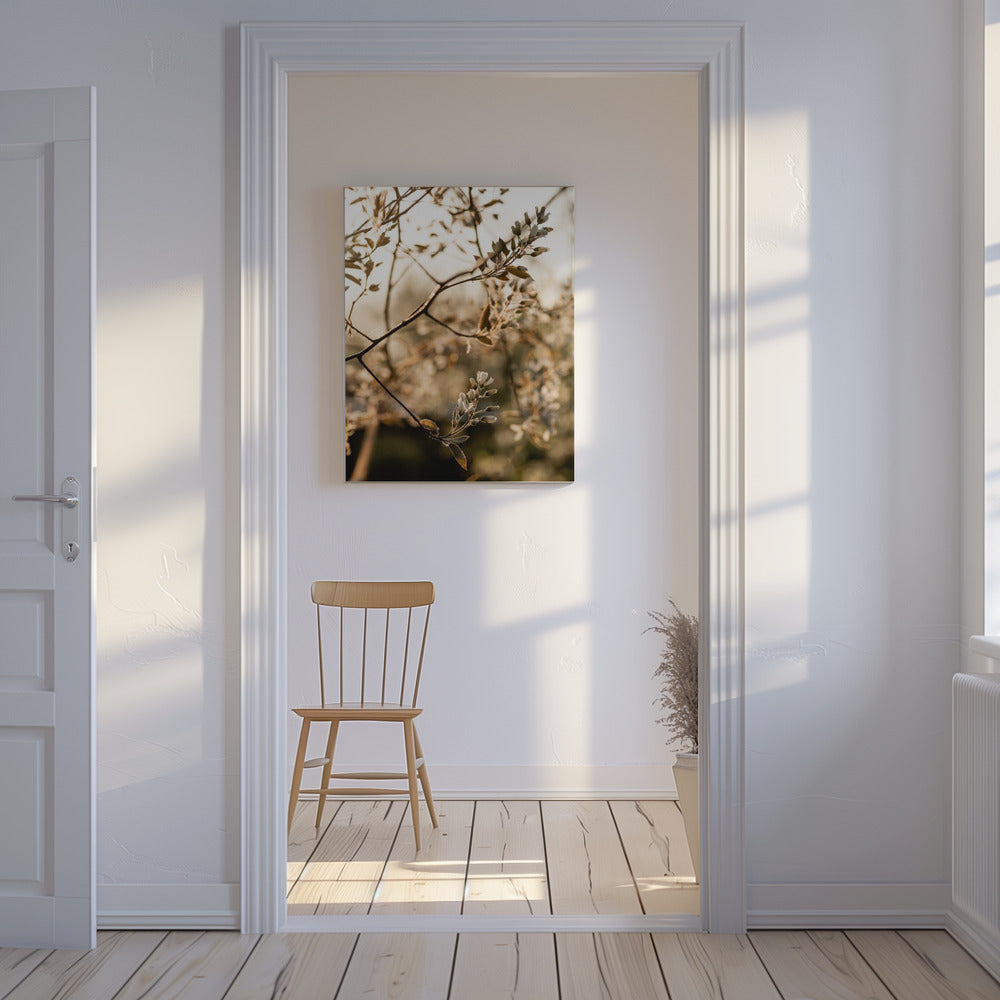 Laatste Lente 4 | Canvas