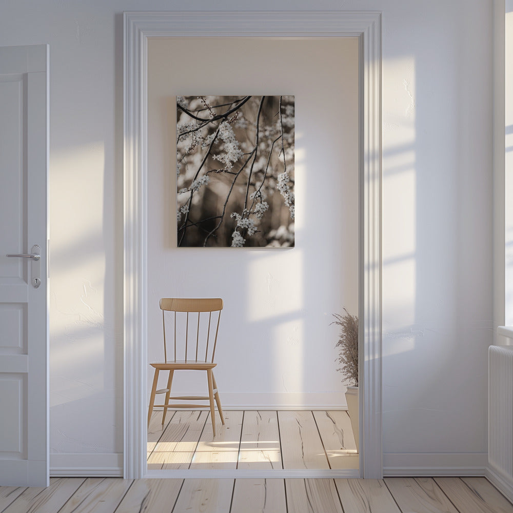 Lentetakken 1 | Canvas