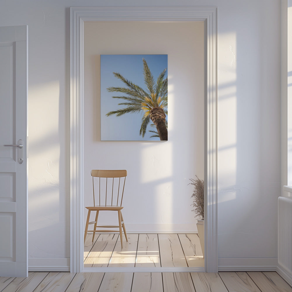 Vejer de La Frontera Palmboom | Canvas