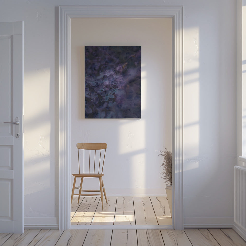Lente #12.png | Canvas