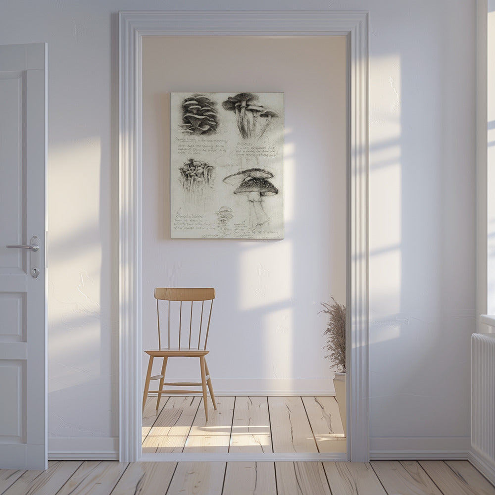 Verschillende botanische paddenstoelen | Canvas