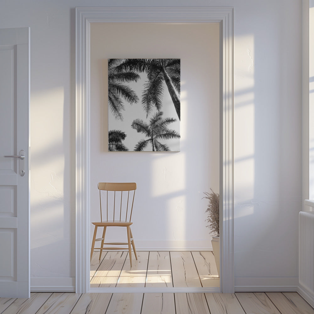 Zwart-witte palmboom | Canvas