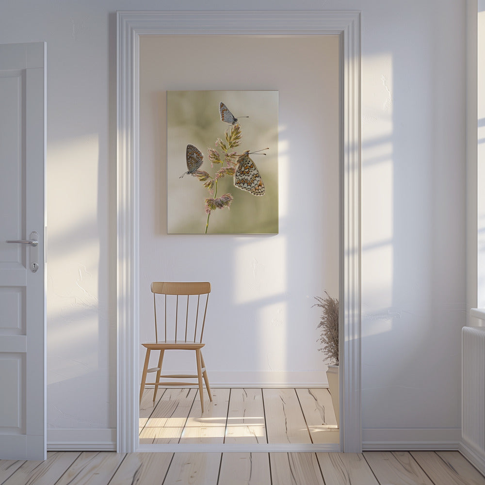 Een soort smeltkroes | Canvas