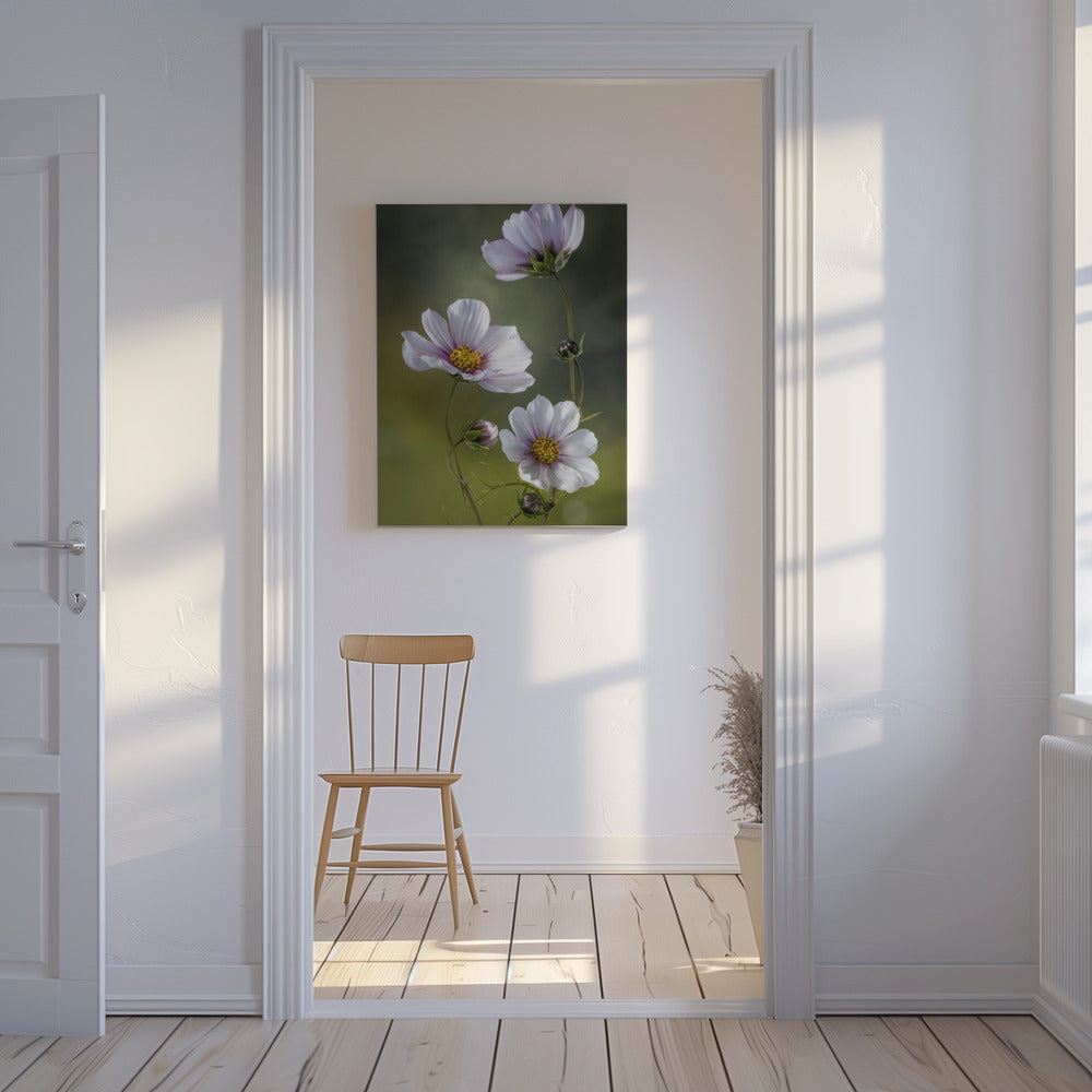 *Kosmos | Canvas