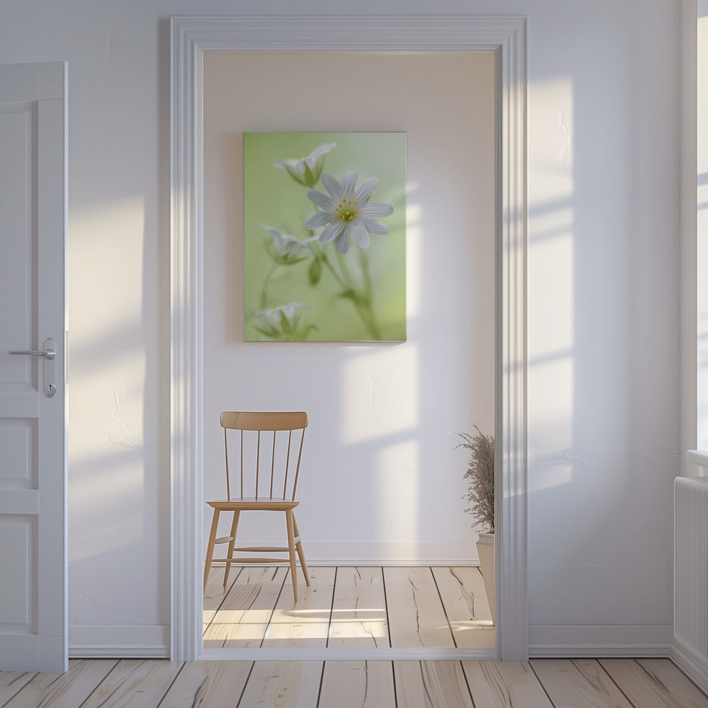 Lente schittering | Canvas
