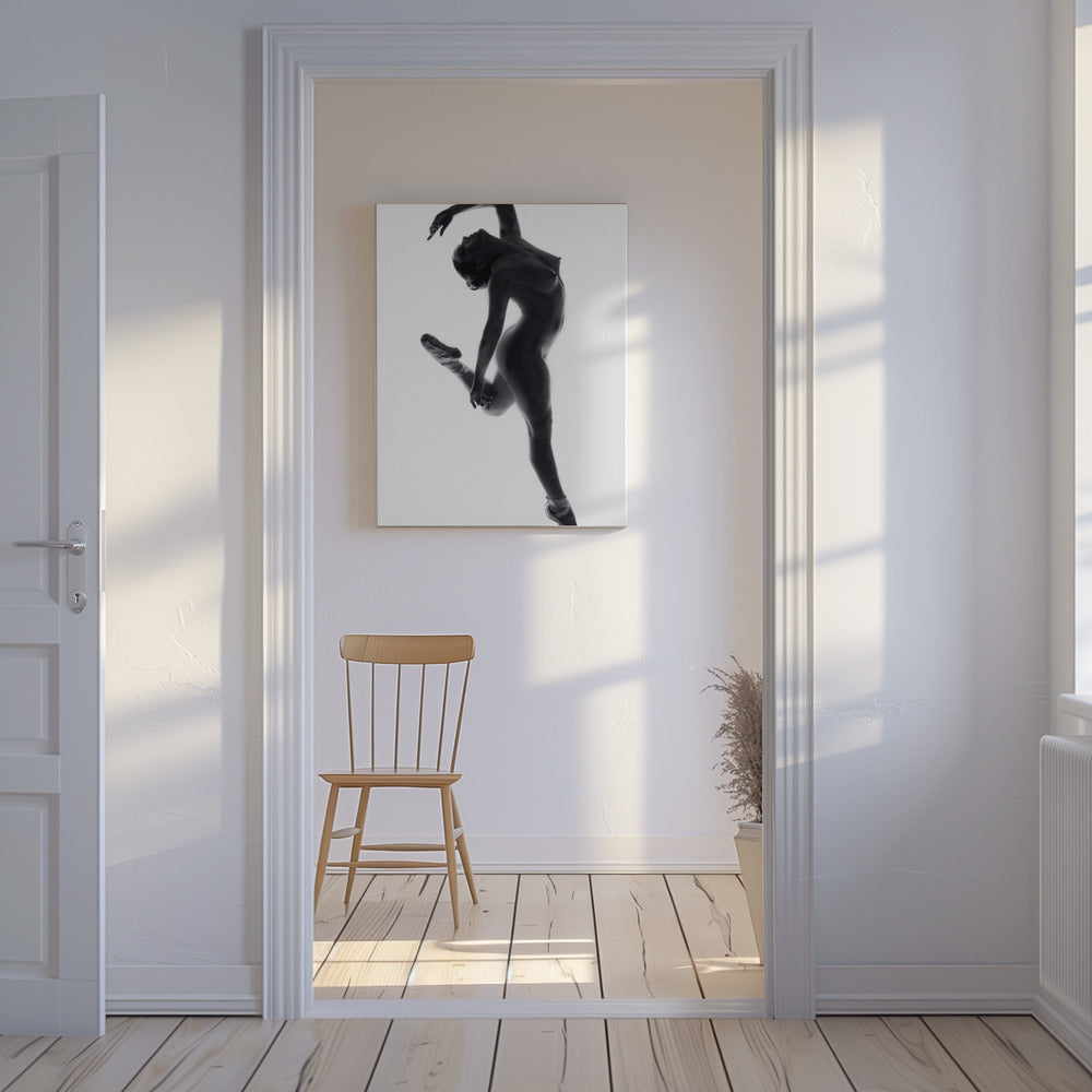 Schone Kunsten Dans ... | Canvas