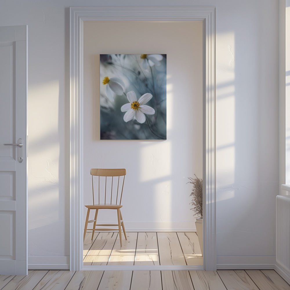Kosmos | Canvas