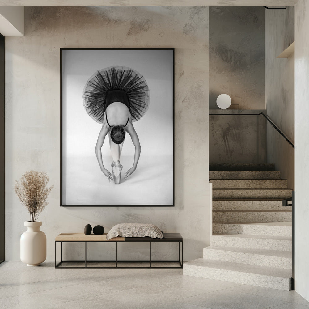 Ballettechniek | Poster