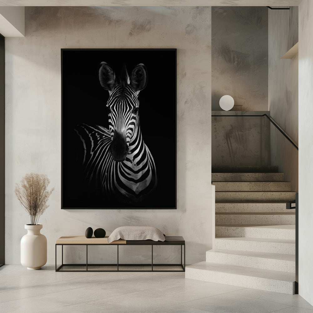 De Zebra | Poster