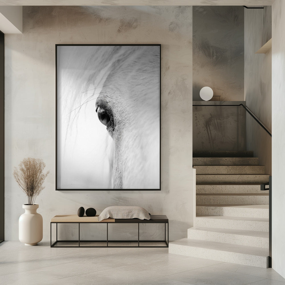 Slangoog | Poster