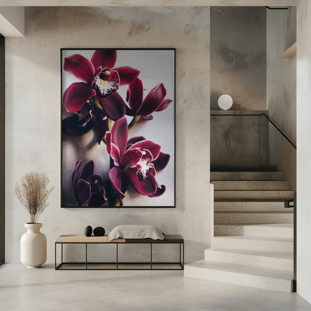 Orchideeën Elegantie | Poster