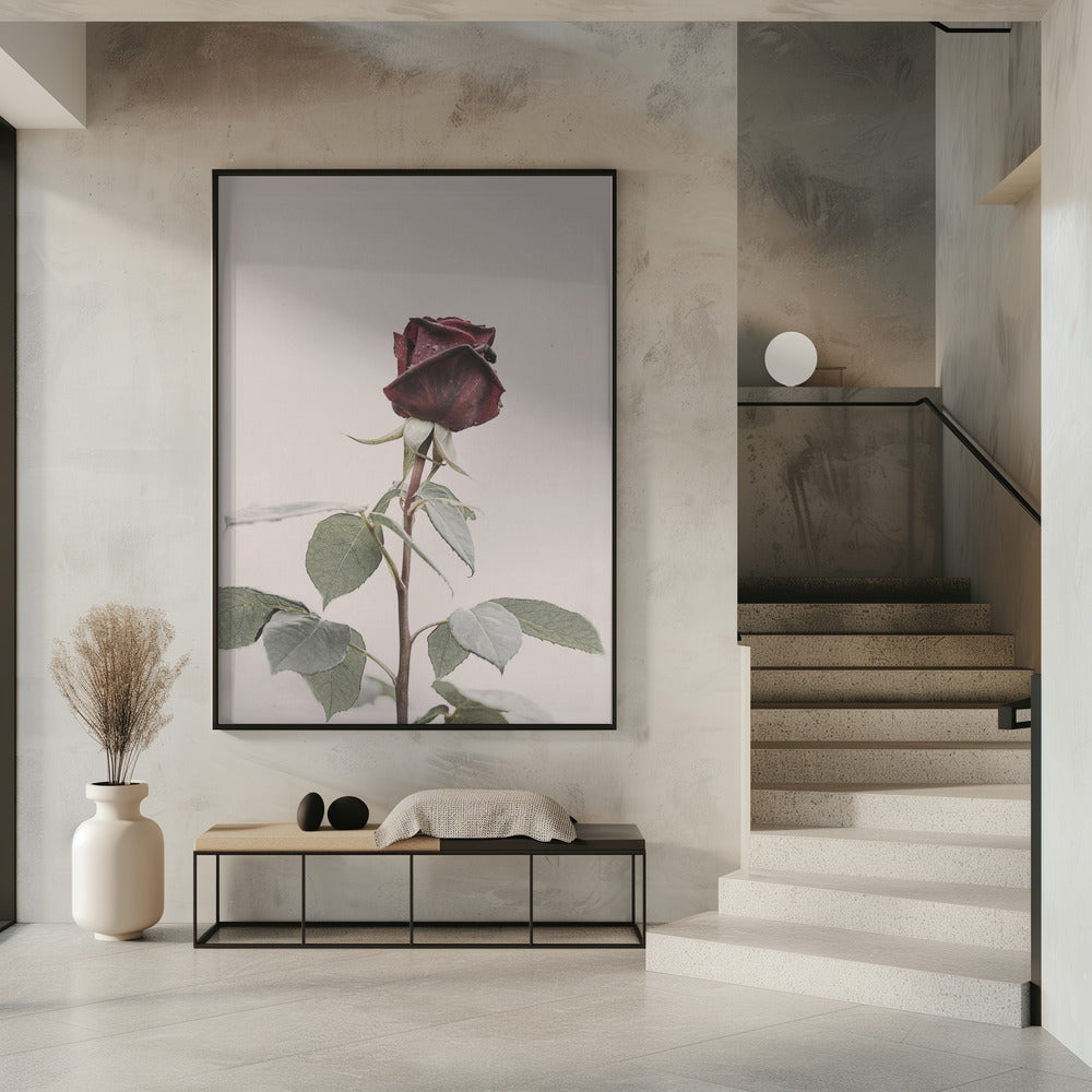 Roos | Poster