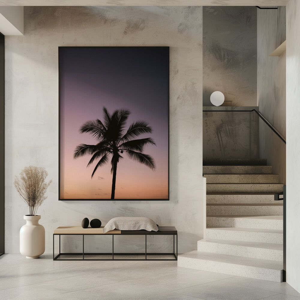 Costa Ricaanse palmboom | Poster
