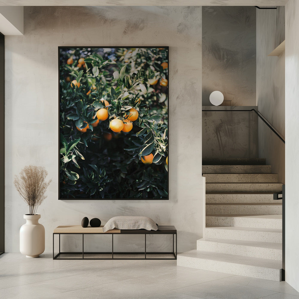 Marrakesh Sinaasappels | Poster