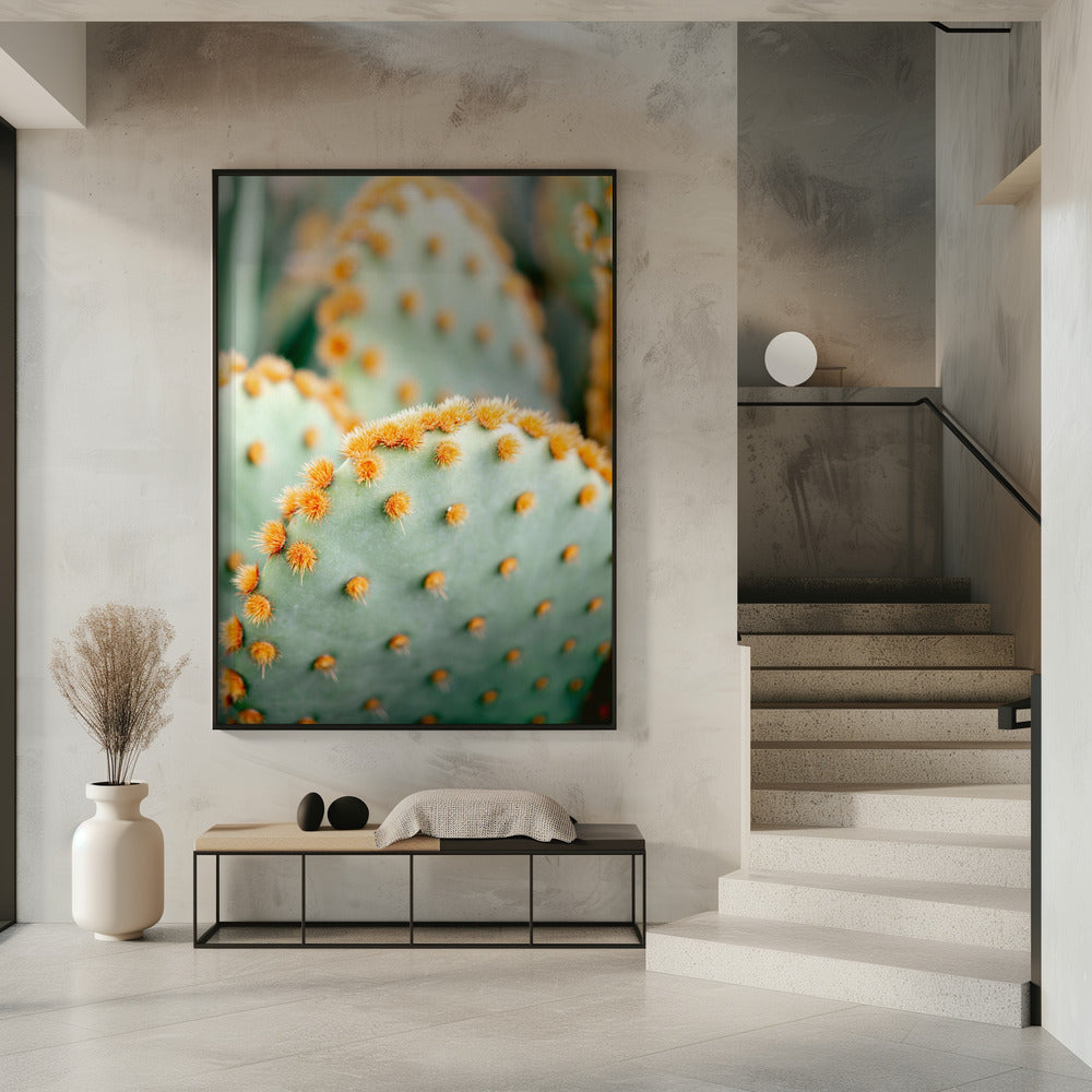 Oranje en Groen II - Botanische fotografie van Marrakech | Poster
