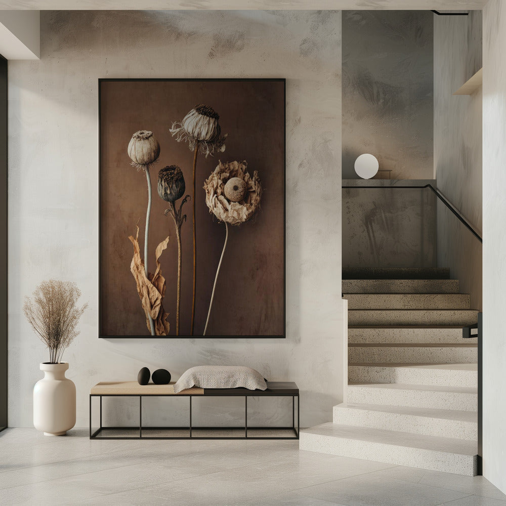 Vervaagde elegantie | Poster