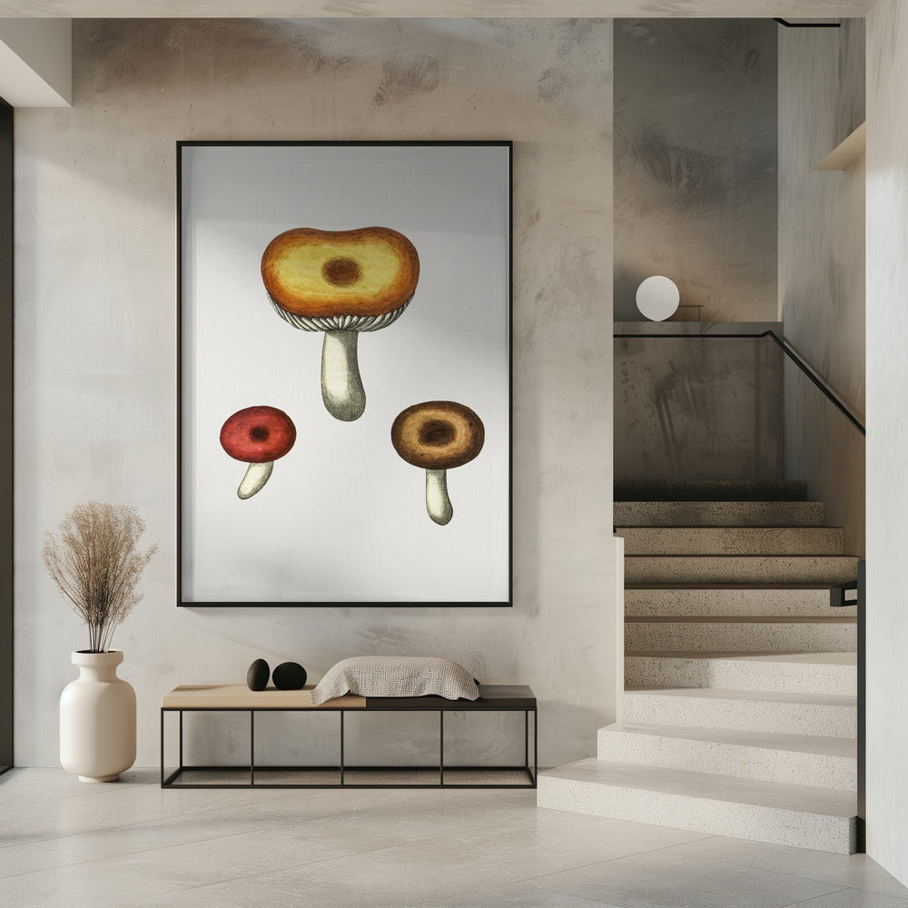 Handgetekende Galerina-paddenstoel | Poster