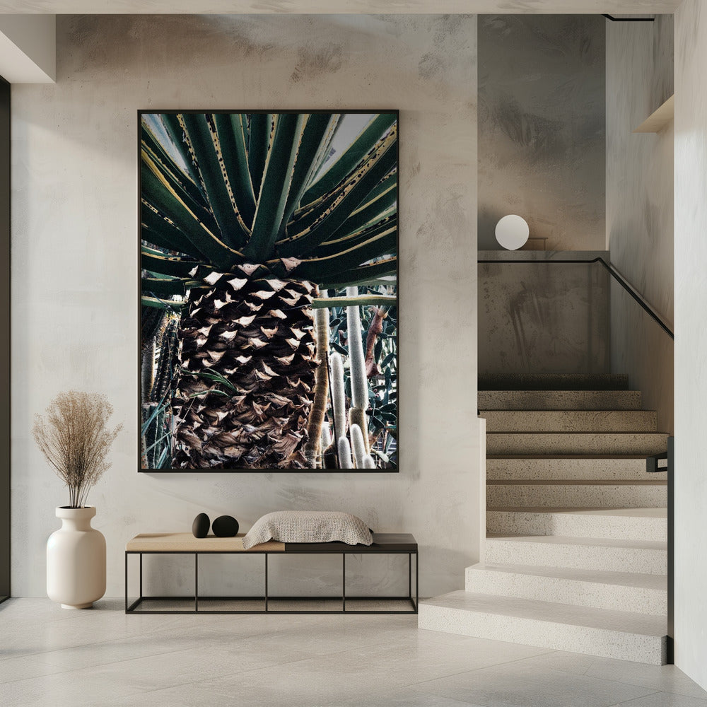 Cactusplant | Poster