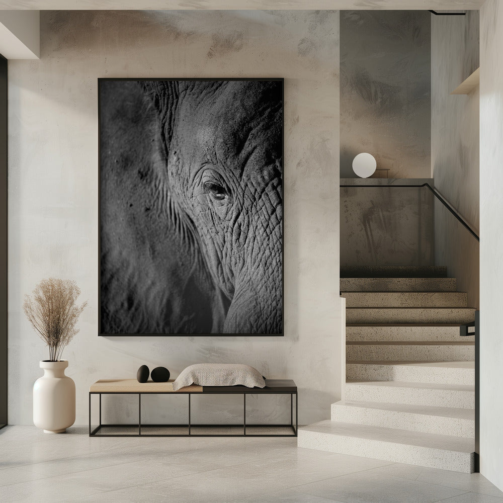 Majestueuze Wijsheid | Poster