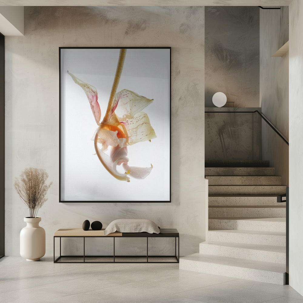 Bloemblaadjessymfonie | Poster