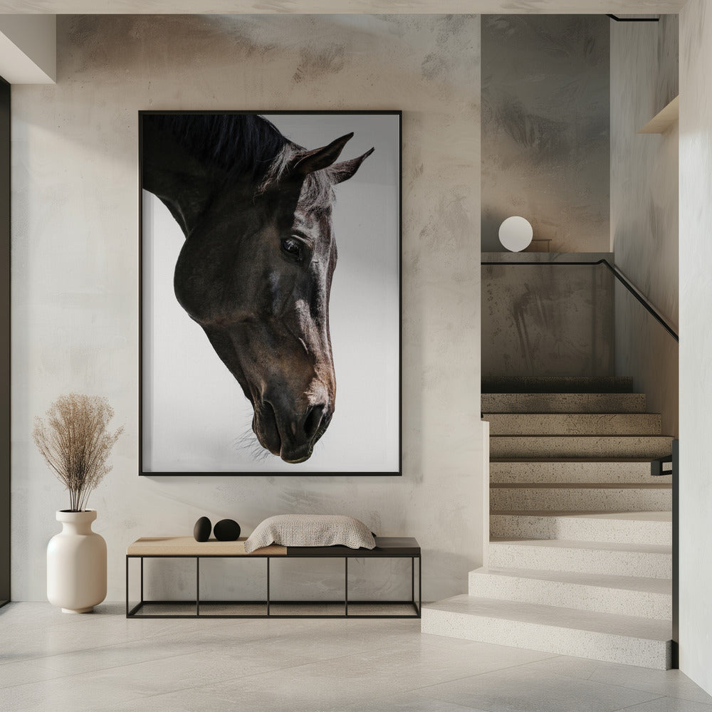 Zachte paardenblik | Poster