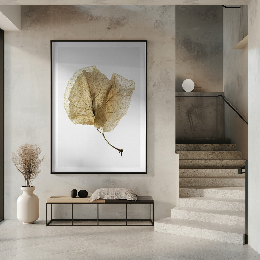Fijne bladnerven | Poster