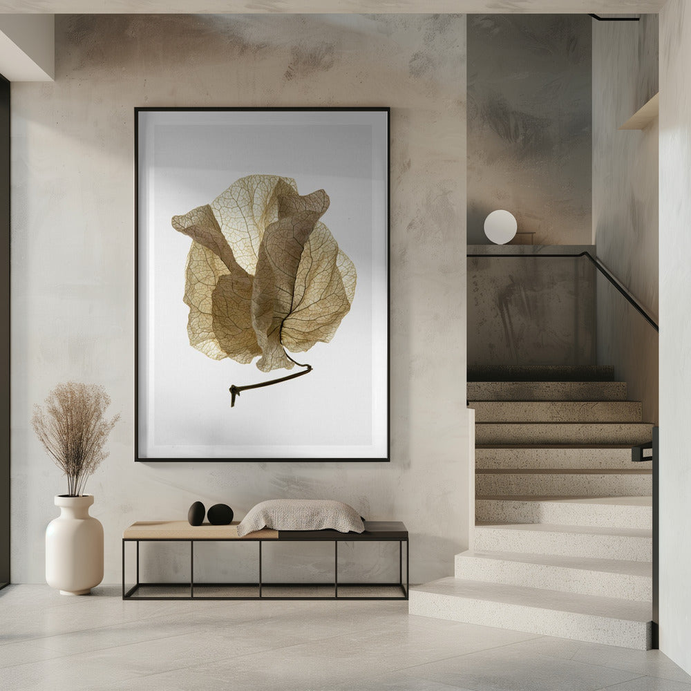 Fluisterende Bloemblaadjes | Poster