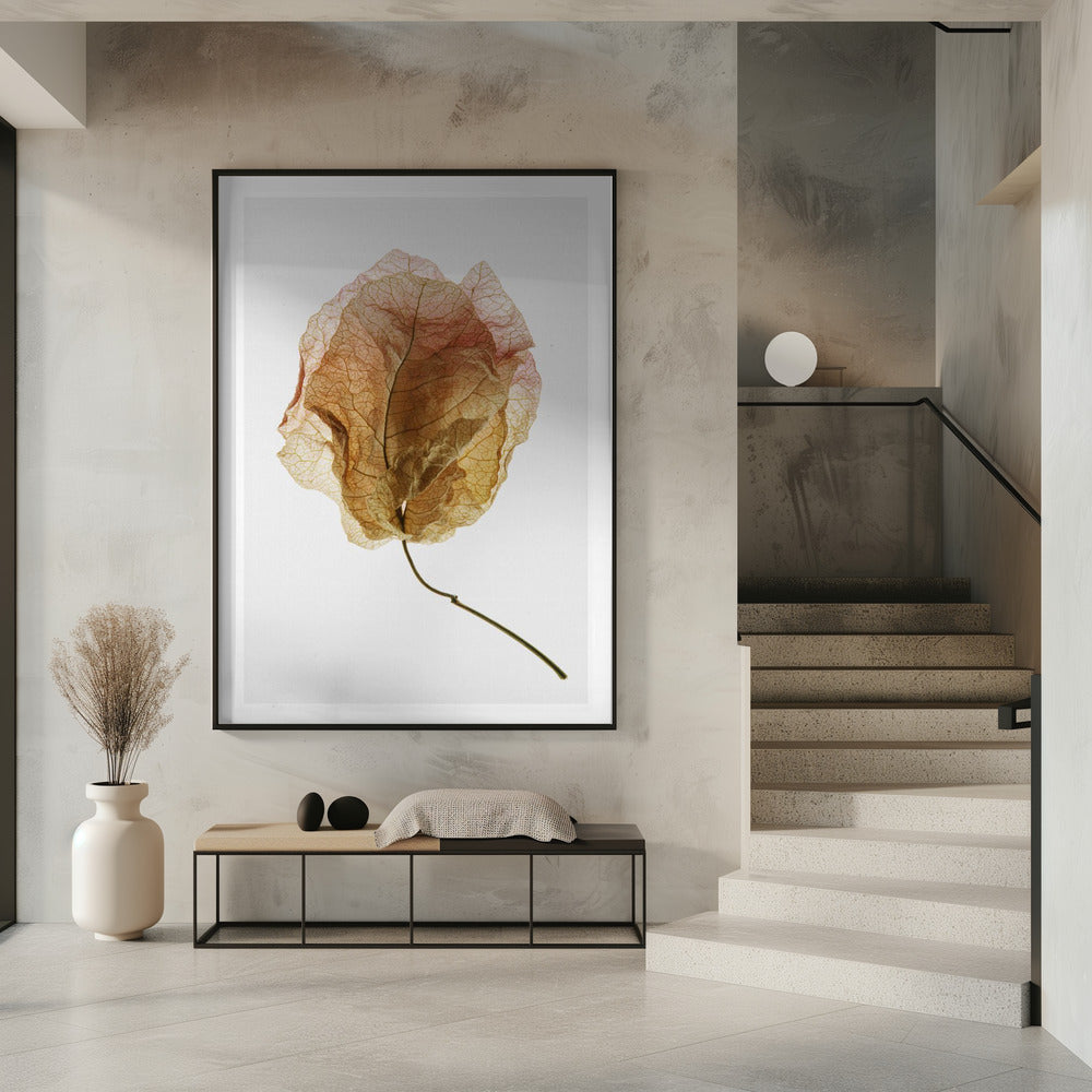 Geaderde elegantie | Poster