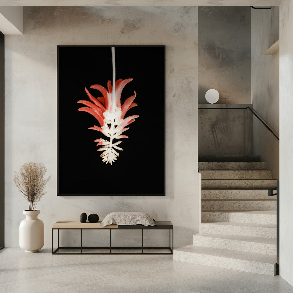 Bloembladskeletfusie | Poster