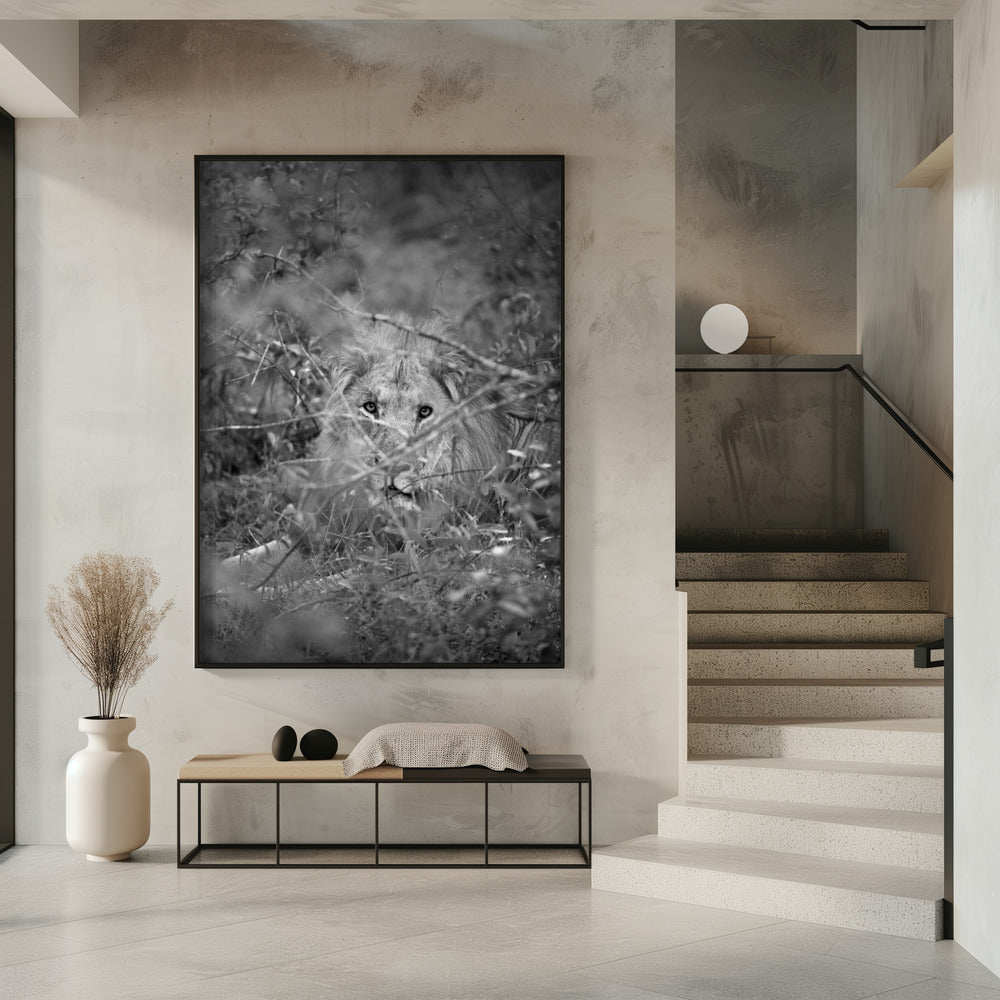 Verborgen Majesteit | Poster