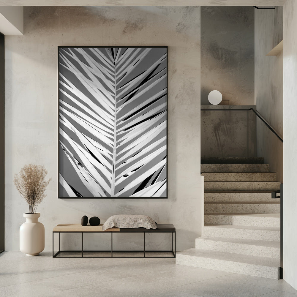 Monochrome Fronds | Poster