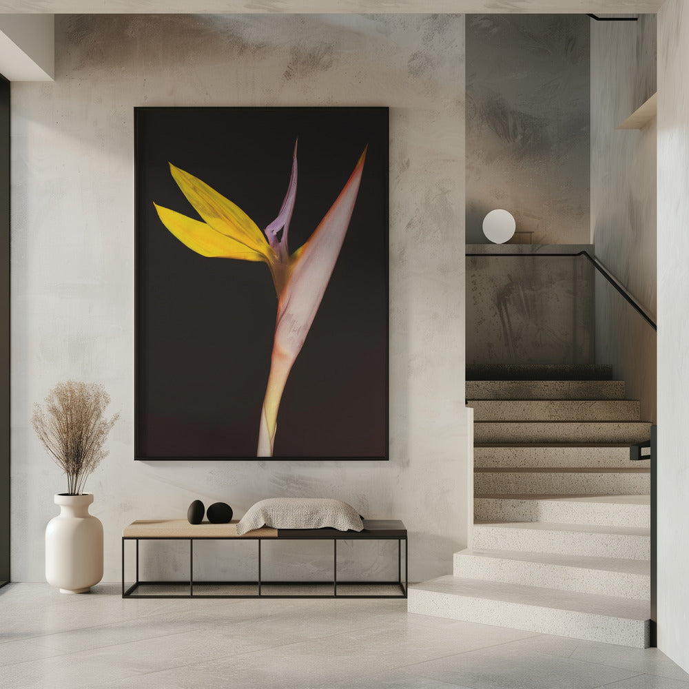 Exotic Blossom Glow | Poster