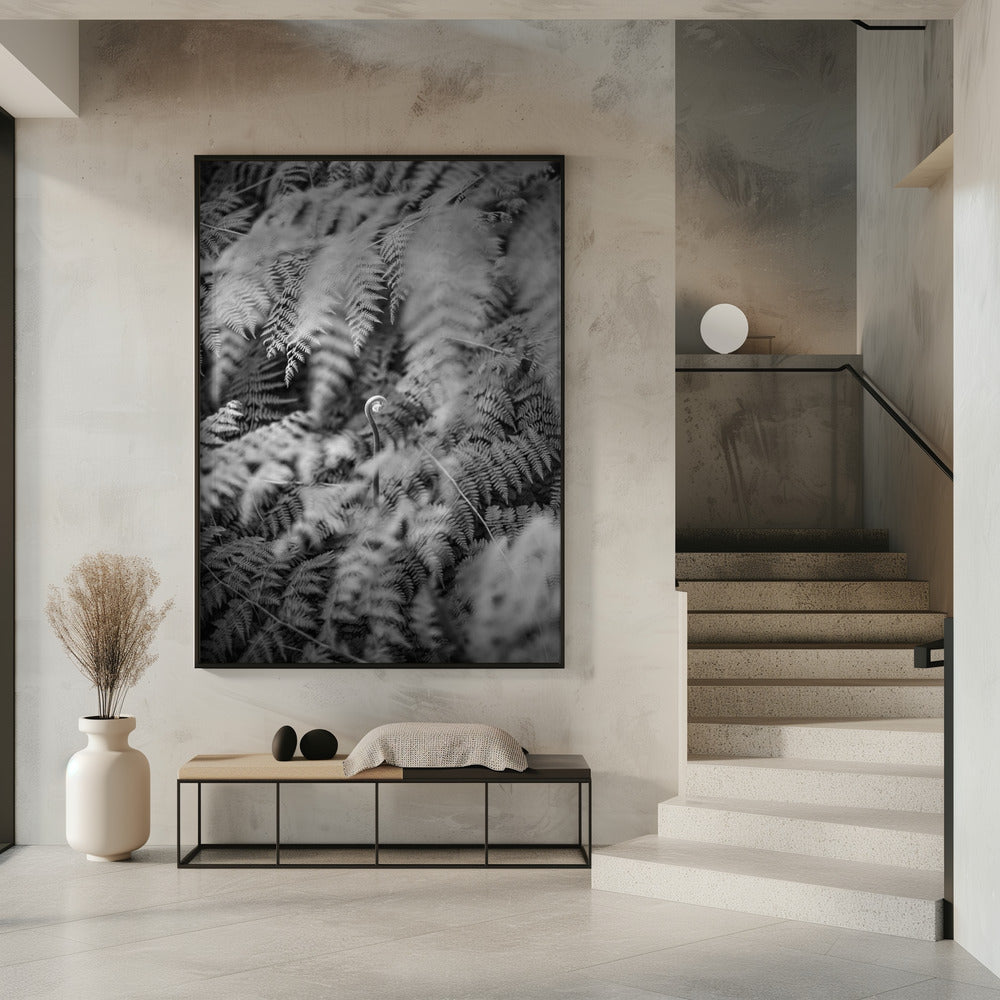 Zwart-witfoto | Poster