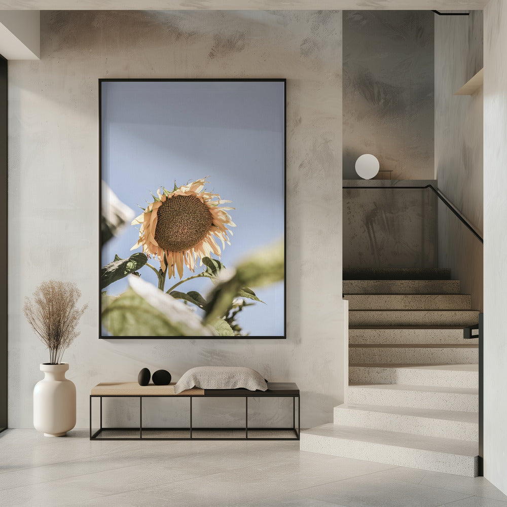 Gouden Bloesemhemel | Poster