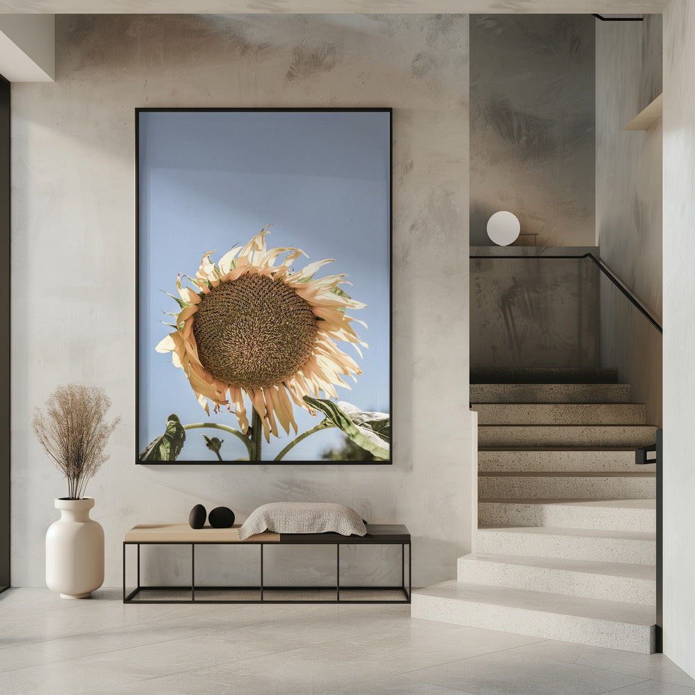 Gouden Zonnebloem Sway | Poster