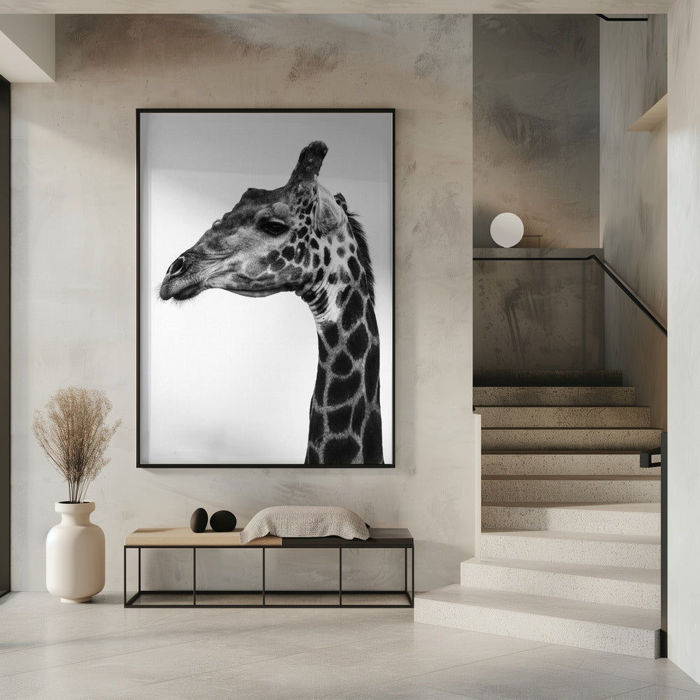 Ingewikkelde patronen van een giraffenhuid | Poster