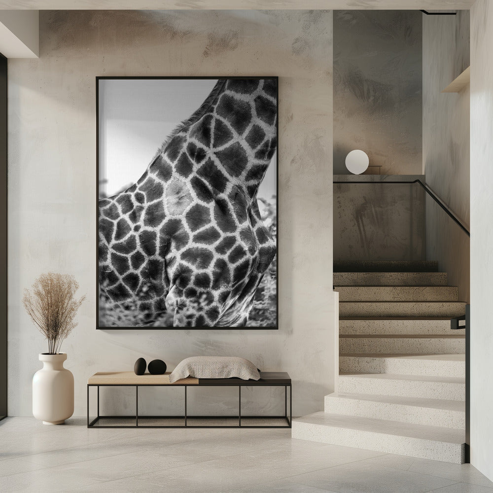 Ingewikkelde patronen van een giraffenhuid | Poster
