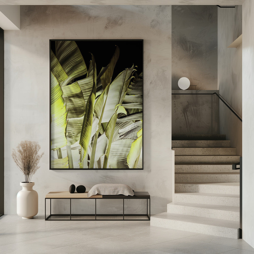 Bananenbladeren in zacht licht | Poster