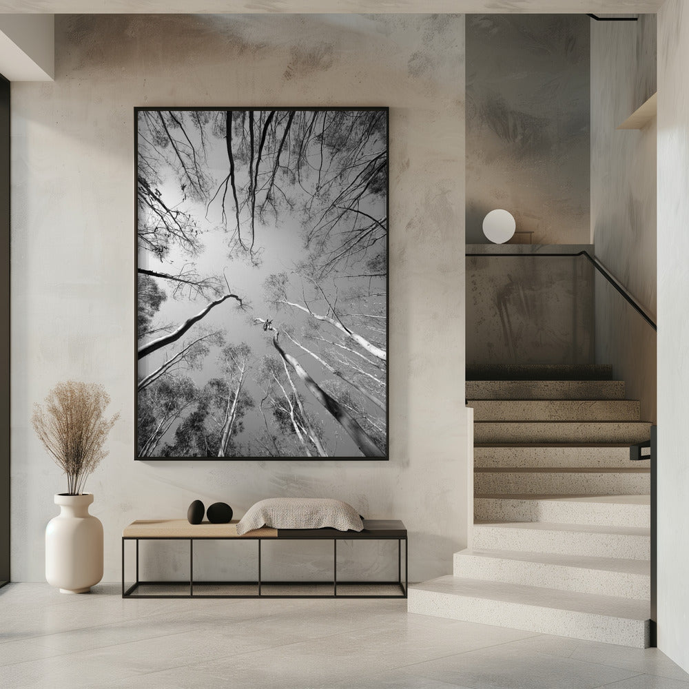 Skyward Symphony | Poster