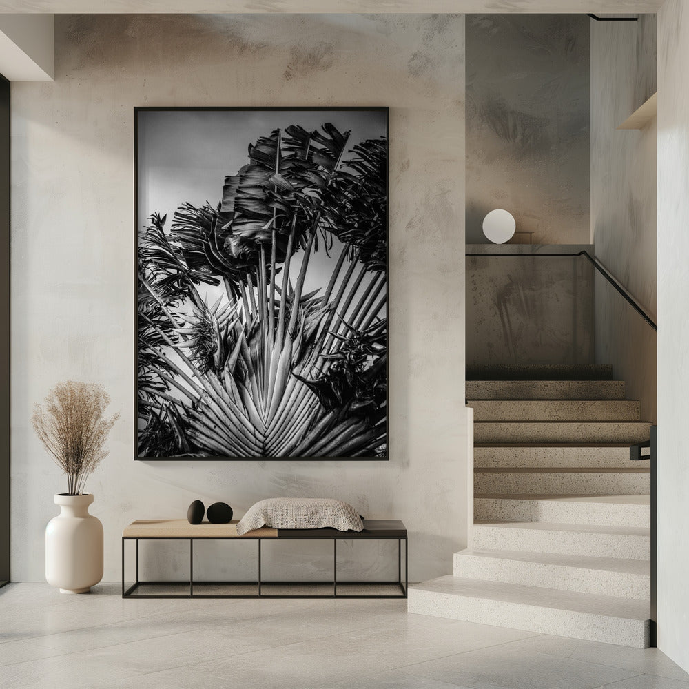 Tropische Danseres | Poster