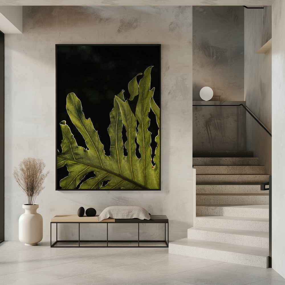 Bladsilhouet | Poster
