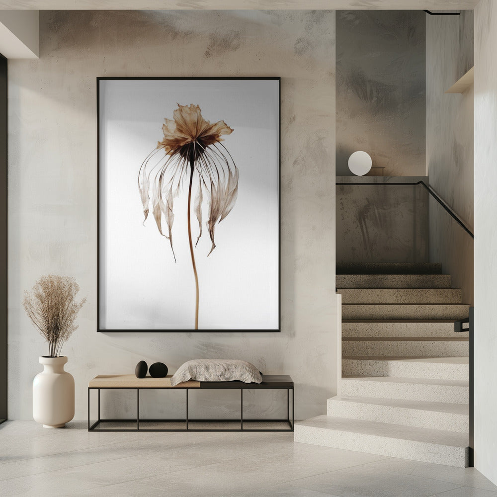 Faded Elegance | Poster