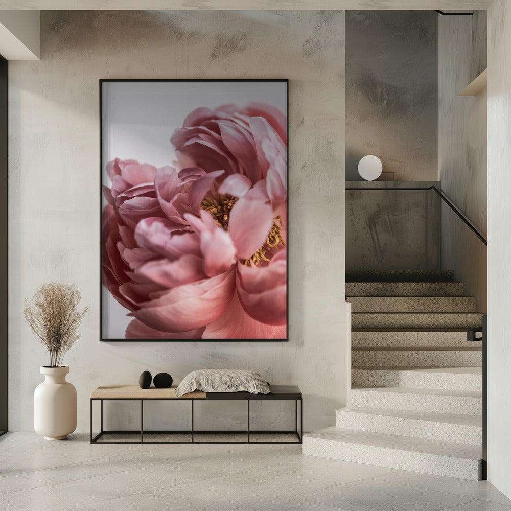 Peony | Poster