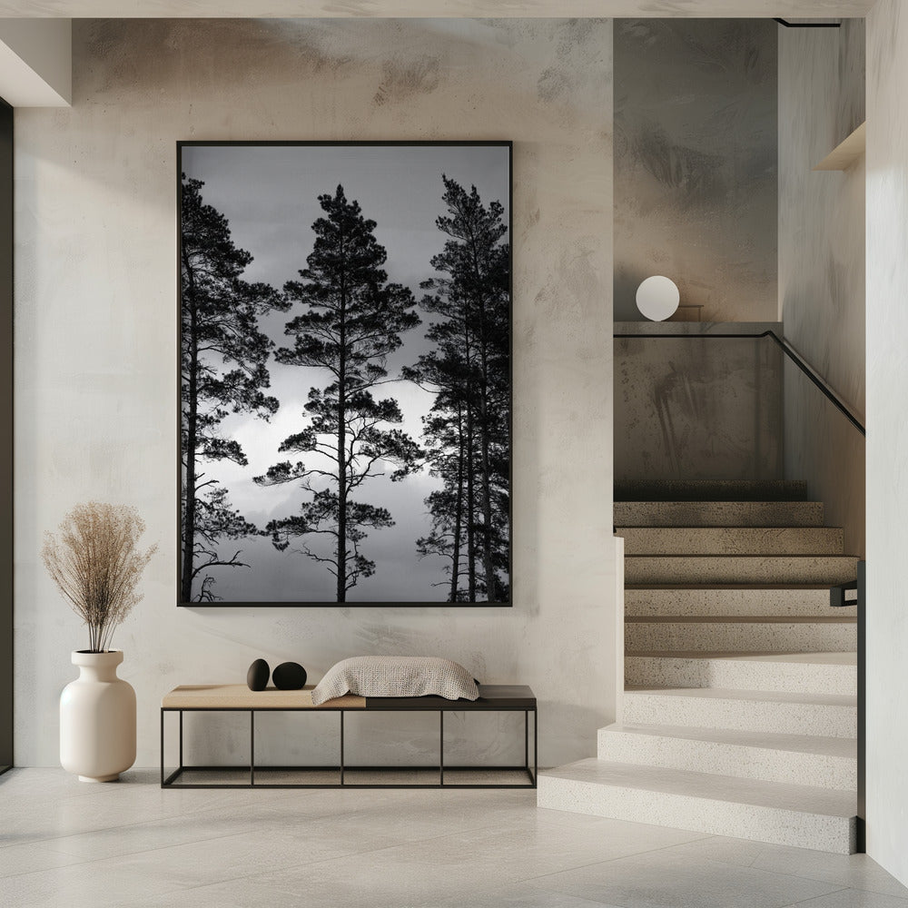 Swedish Trees | Poster