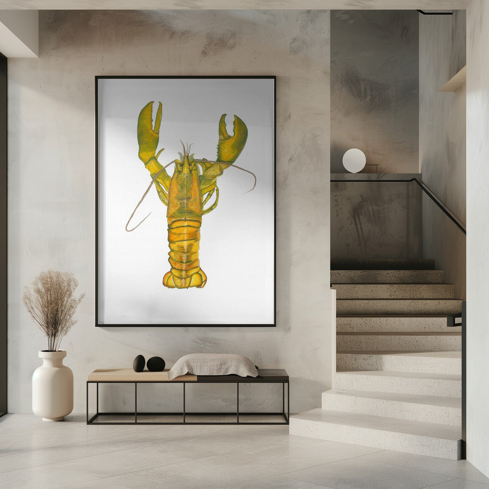 Kreeft | Poster