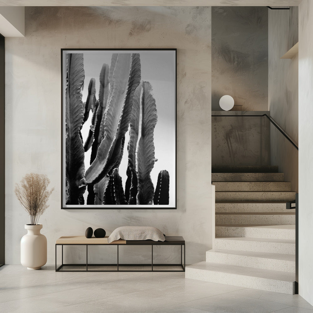 Cactus Elegance | Poster