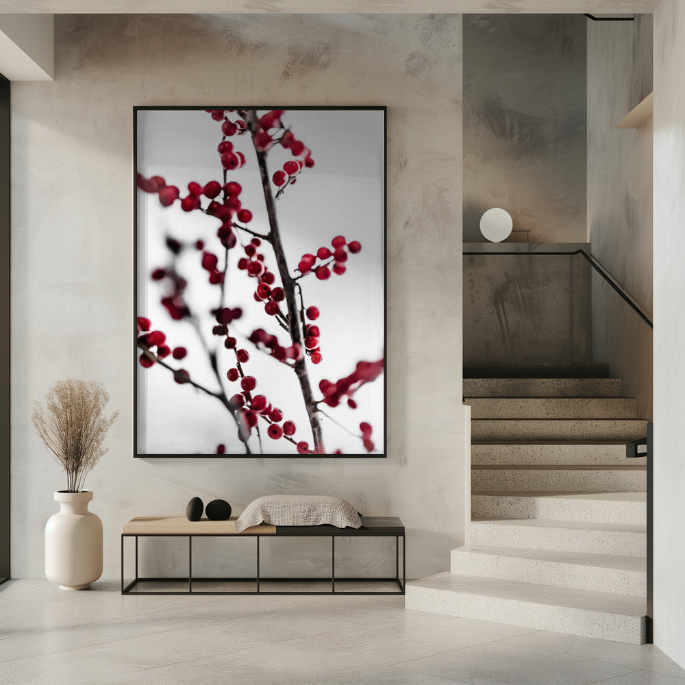 Red Berries 1 | Poster