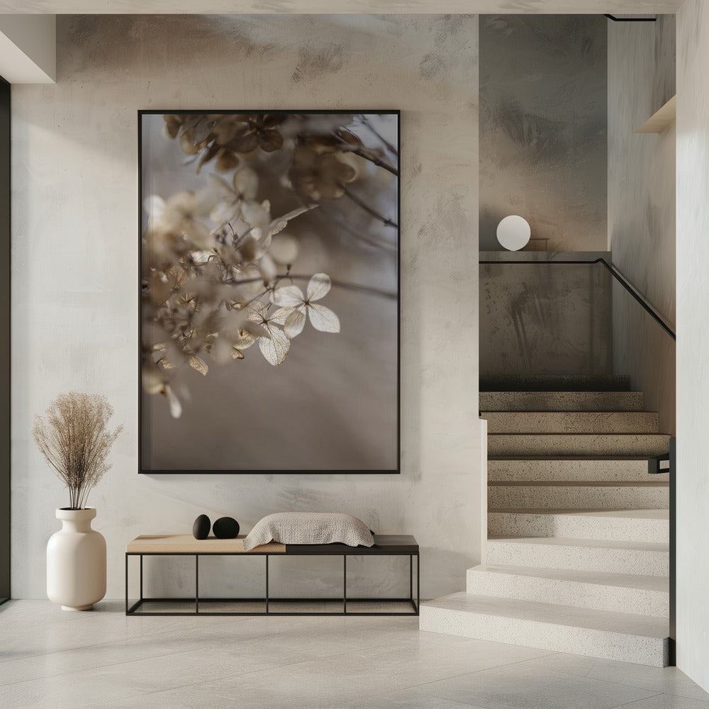 Hydrangea 1 | Poster